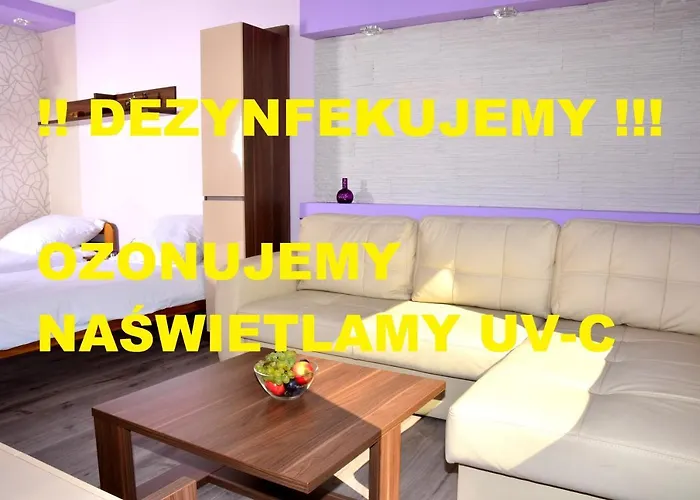 Apartament Kielce Fiolet
