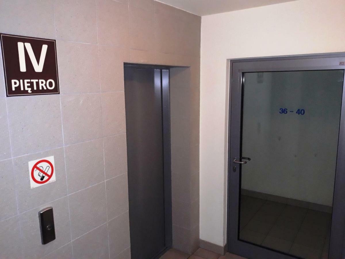 Apartment Fiolet